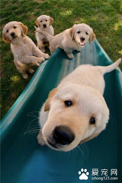 咦，这上面有什么呢？