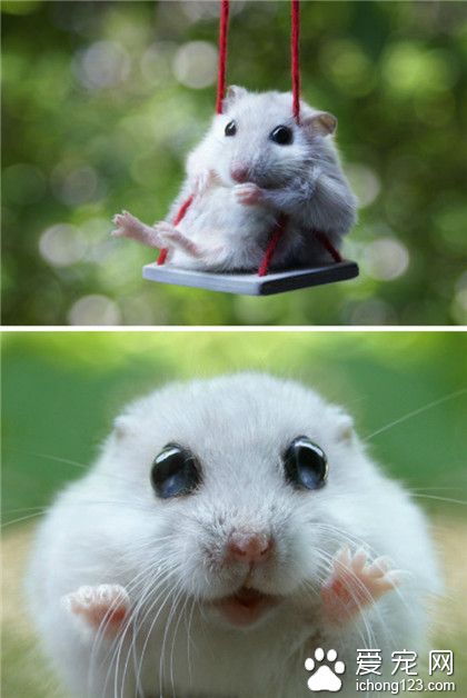 生活就要如此逍遥。