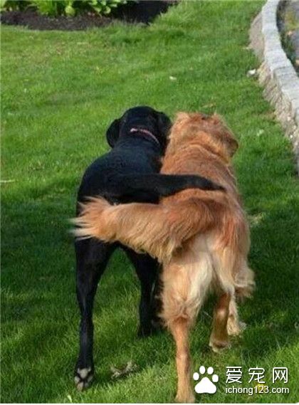 好朋友，一起走！