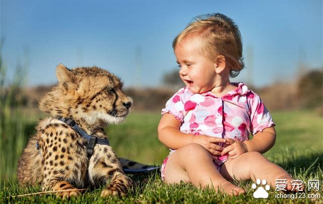 南非小兄妹与猎豹幼崽一同生活 结下不解之缘