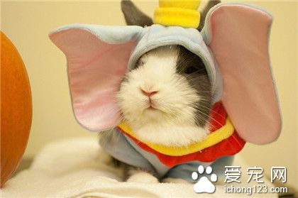 鼠星人，看我的大耳朵！！