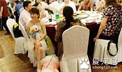 上海爱狗人士办宠物主题婚礼 新娘牵狗狗走红毯