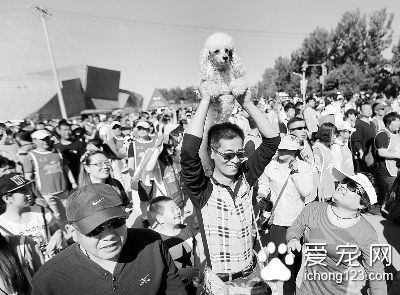 带宠物“长征” 选手带着自己的宠物狗一起“征战”21公里