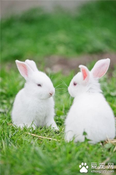 喂，镜子里那谁，哼哼。