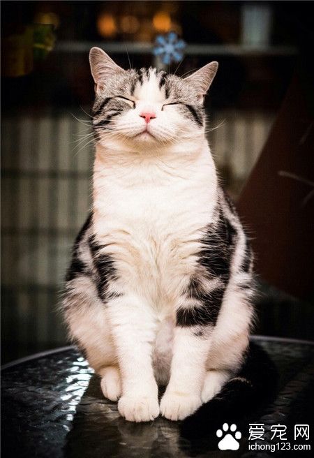 大爷站着也能睡！