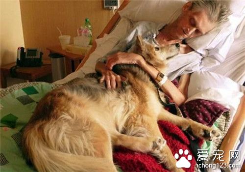 流浪汉临终前的最后心愿 再见一次自己的狗