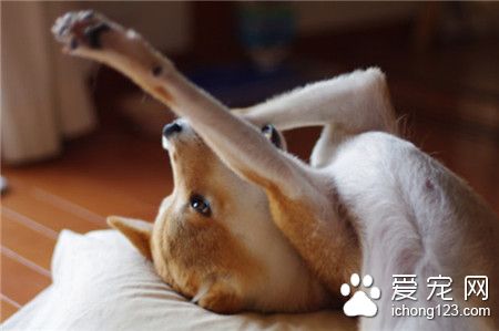 好困呀，伸个懒腰先`(*∩_∩*)′