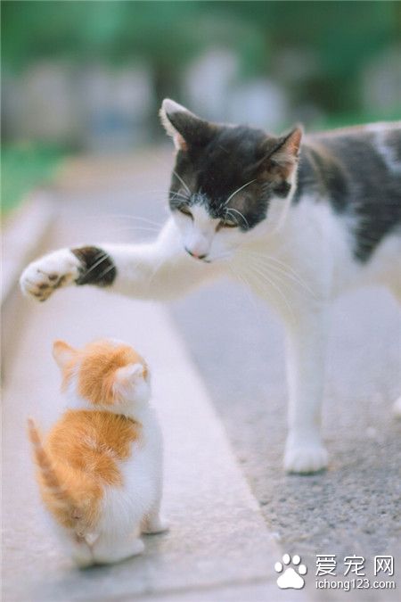 我要撩你可以吗？