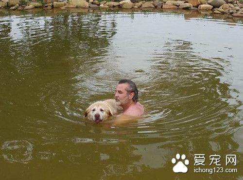 老的牙齿都掉光的狗想下水游泳 主人帮助它