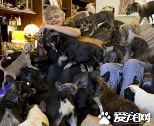 女子爱狗如命养41条狗 遛狗像打仗一样