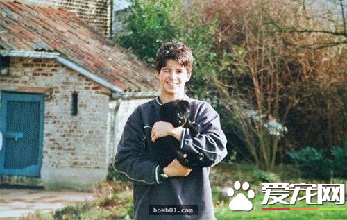 狗狗陪伴主人走过15年后 即将走到生命尽头