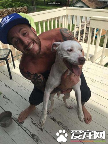 刚认养的狗狗带回家 没几天警察上门要它死