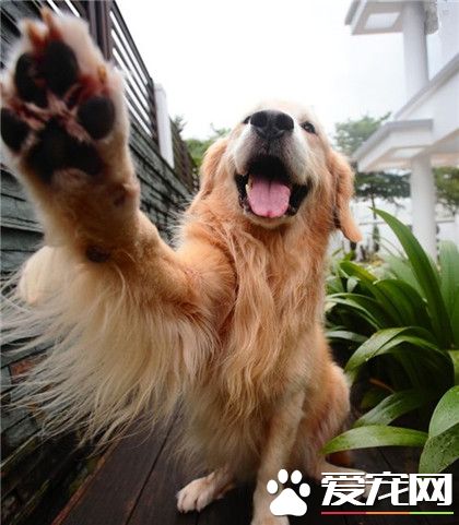 主人，你要给伦家拍得帅气一点哦！