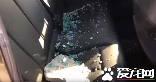 白发路人甲怒砸宝马 只是因为救出被困小狗