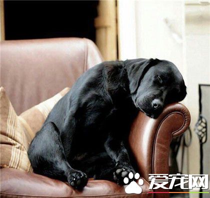 看电视的时候，看着看着就睡着了