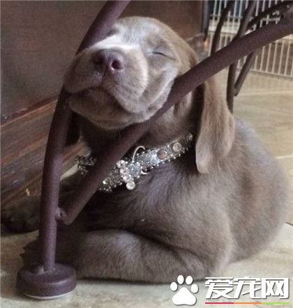 据说这样睡觉可以瘦脸哦，呵呵！