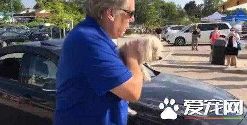 白发路人甲怒砸宝马 只是因为救出被困小狗