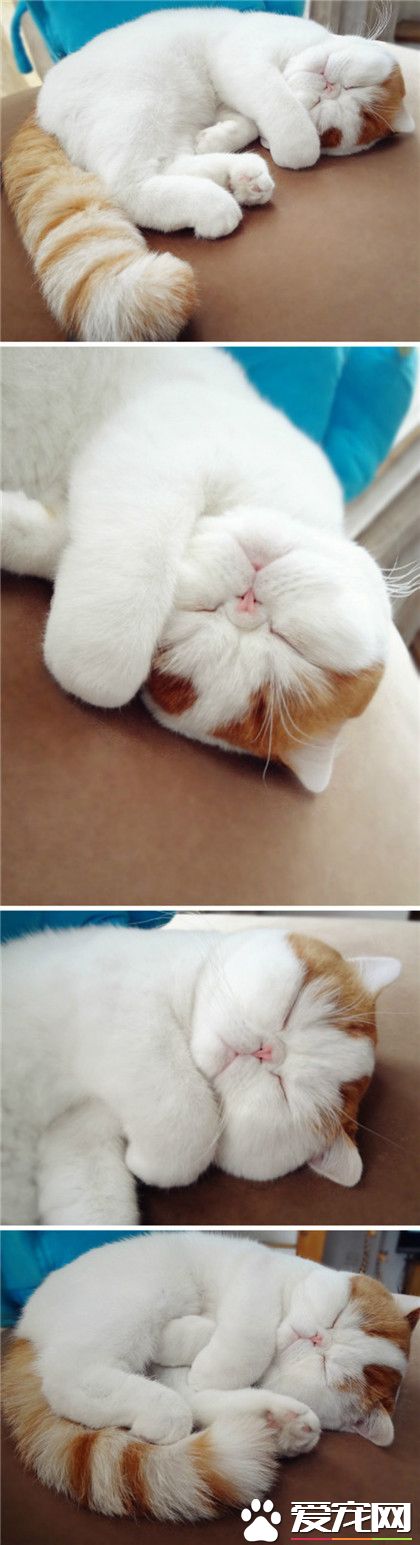 春困滴孩纸呀~~~