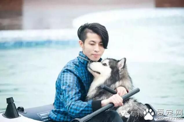 上海萌物园开始宠物水上活动项目 这个夏季让你湿身