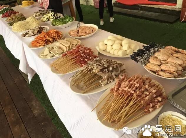 上海萌物园开始宠物水上活动项目 这个夏季让你湿身