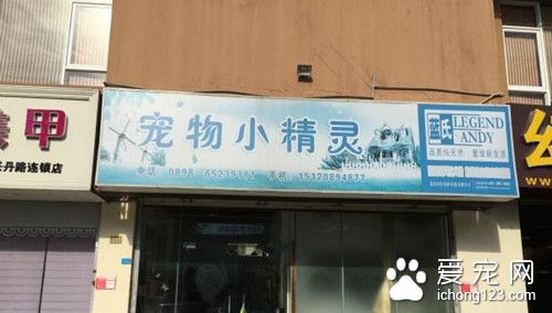 带宠物去宠物店洗澡 宠物犬意外死在烤箱内