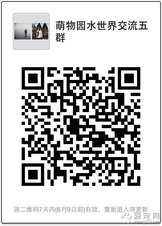 上海萌物园开始宠物水上活动项目 这个夏季让你湿身