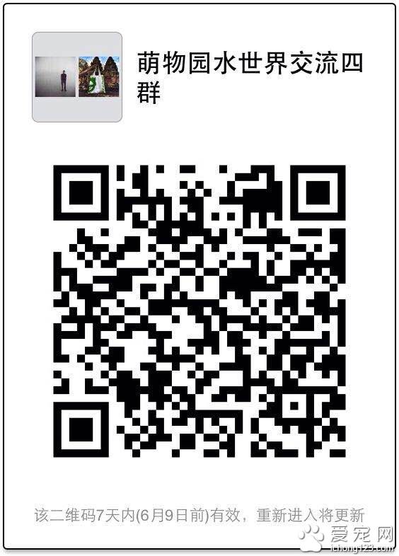 上海萌物园开始宠物水上活动项目 这个夏季让你湿身