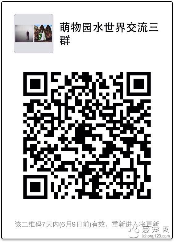 上海萌物园开始宠物水上活动项目 这个夏季让你湿身