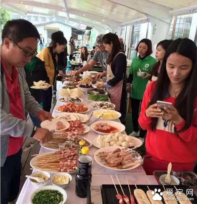 上海萌物园开始宠物水上活动项目 这个夏季让你湿身