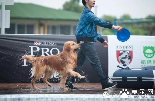 上海萌物园开始宠物水上活动项目 这个夏季让你湿身