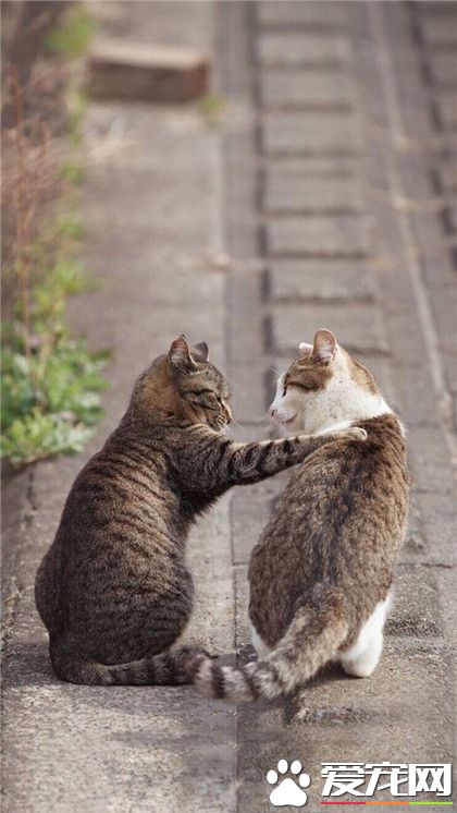 这么巧兄弟，你也在这里啊！