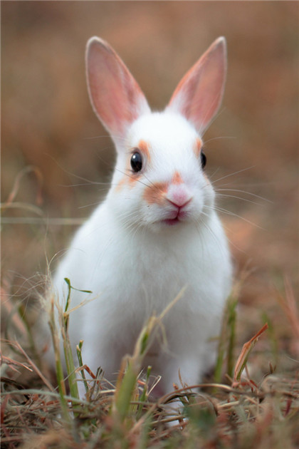 小美人。亲一个~