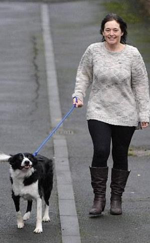 牧羊犬突然发狂扑倒主人 竟是为了挽救主人