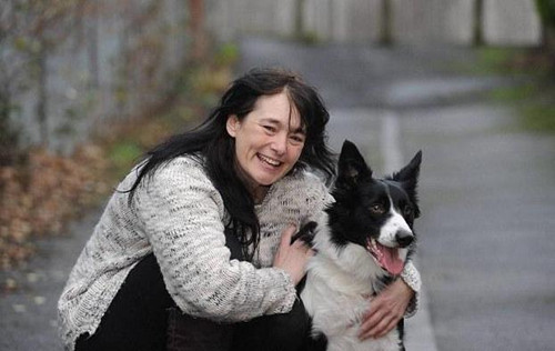 牧羊犬突然发狂扑倒主人 竟是为了挽救主人