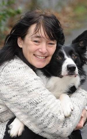 牧羊犬突然发狂扑倒主人 竟是为了挽救主人