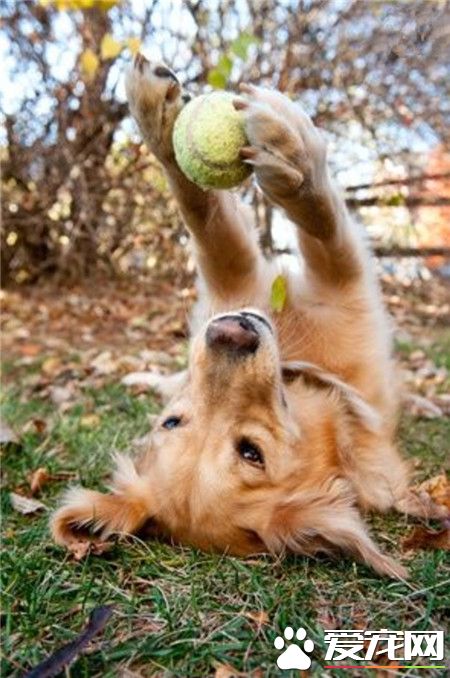 反手也能接到球，这技能服不服，哈哈