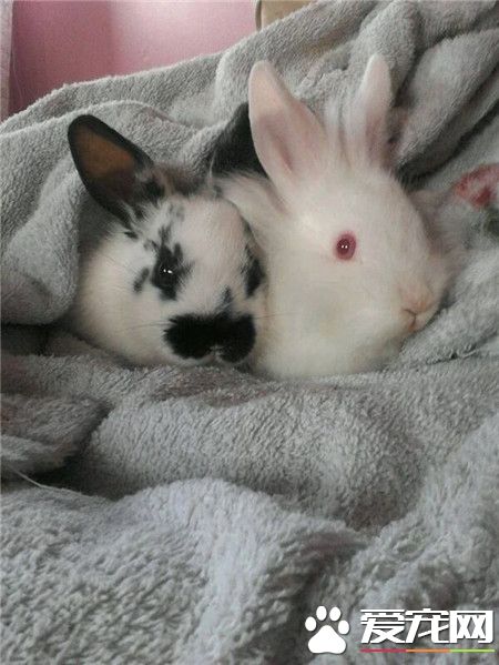 装什么萌，说，事前还是事后？