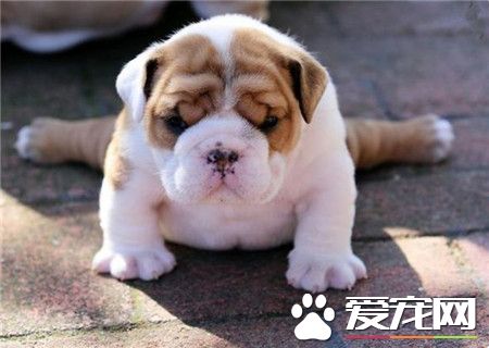 一字马什么的对于汪来说都不是事！