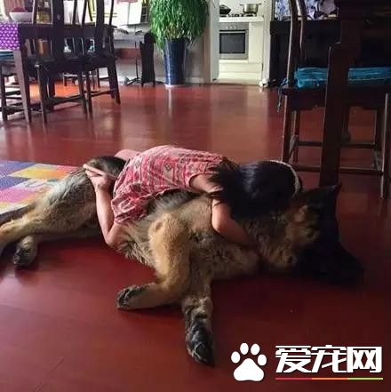 等待屠宰的大狼狗 被她从死亡边缘给救了回来