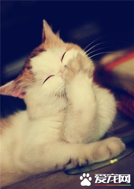 一个人独自笑的时候，那就是真心的笑了。