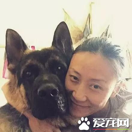 等待屠宰的大狼狗 被她从死亡边缘给救了回来