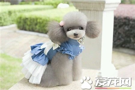 美装show time*汪~