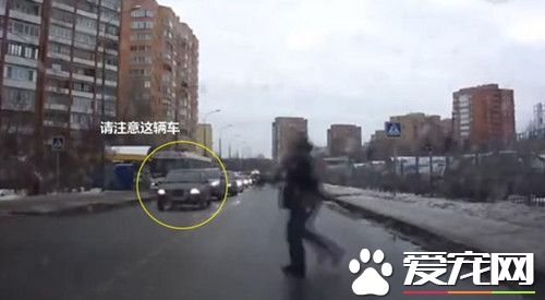 街头发生的感人一幕 竟是为了只流浪小狗