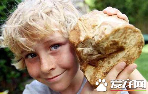 英国男童海滩遇搁浅小鲸鱼 帮助鲸鱼重返大海