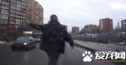 街头发生的感人一幕 竟是为了只流浪小狗