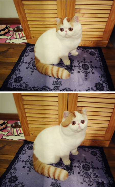 偶想说滴是~偶不戴“美瞳”也是大眼仔哦~~~