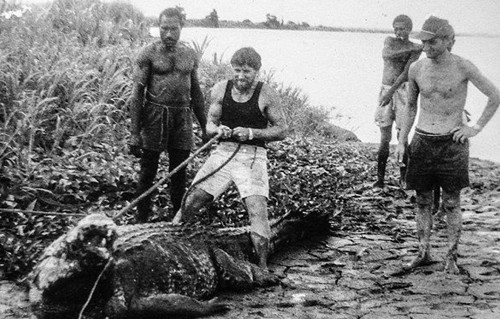 男子野外捕获鳄鱼带回家养 一起生活40年之久