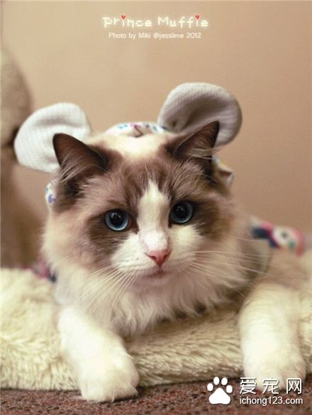 萌萌哒，好可爱！