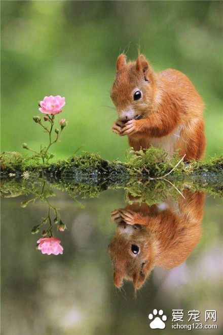 鼠星人，真好喝！