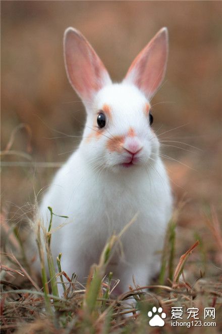 小美人。亲一个~